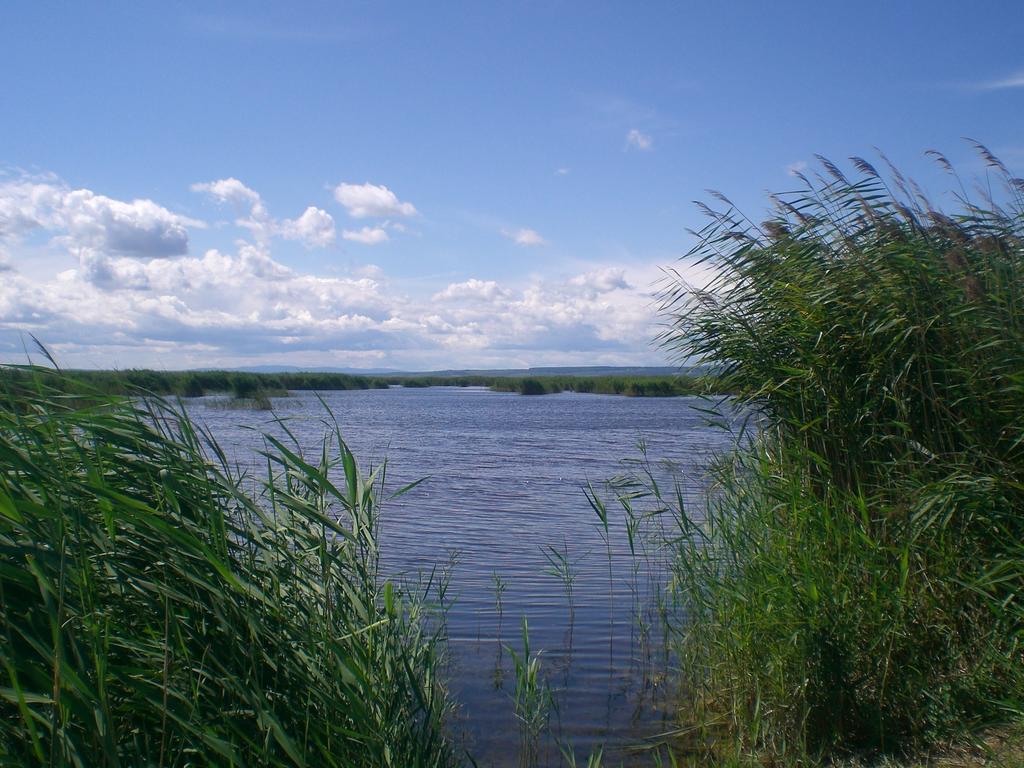 Ferienwohnungen Feldsee Ильмиц Экстерьер фото